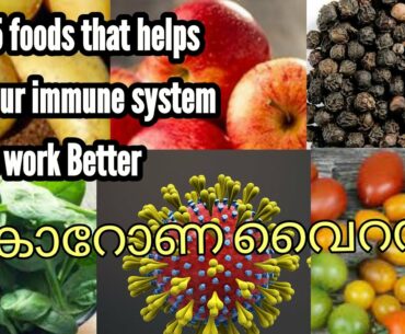 25 foods to Boost your immune system |Immunity boosting foods malayalam| All in 1 Adukkala