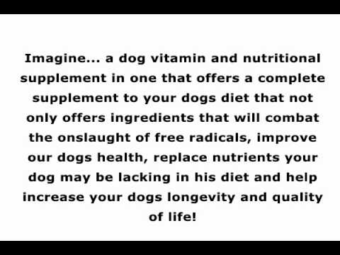 Dog Vitamin Supplement | Dog Health Vitamin