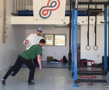 Apiros Movement Vitamin #18 - Hip Dissociation Progression