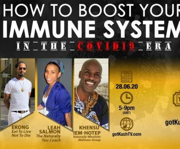 How to Boost Your Immune System in the CoVid19 Era (28.06.20) Now with Leah Salmon