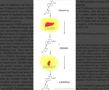 Coronavirus Pandemic Update 82 Racial Disparities with COVID 19 Vitamin D 1080p MUX