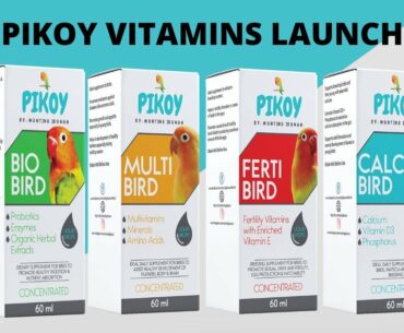 PIKOY VITAMINS LAUNCH