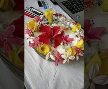 Diet and nutrition for better immune system discussion and sharing