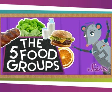 The 5 Fabulous Food Groups