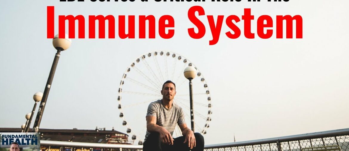 LDL Serves A Critical Role In The Immune System