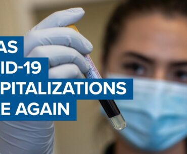 Texas hospitalizations for Covid-19 hit another new high