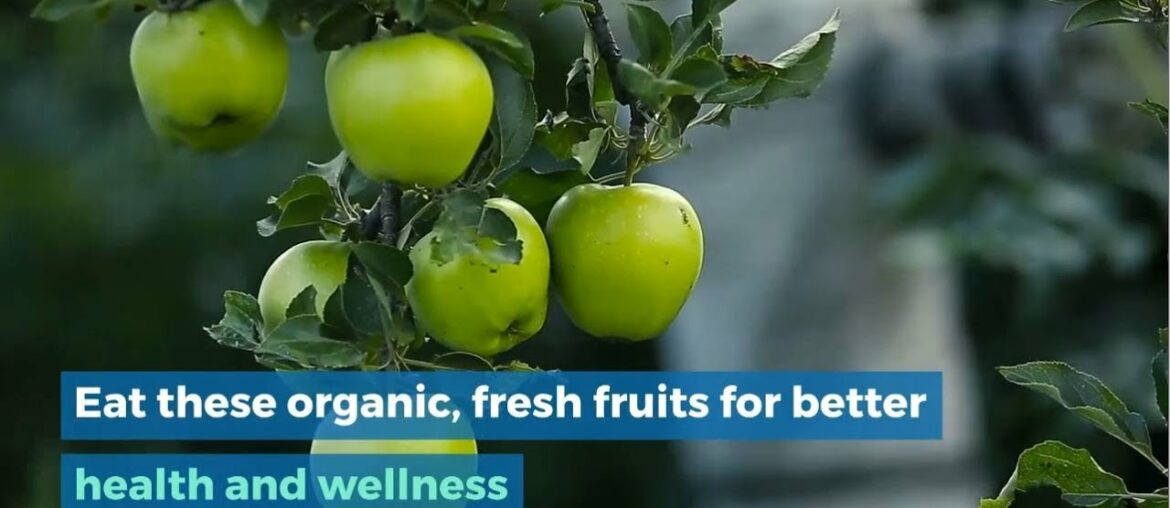 Eat Organic Fresh Fruits for Better Health and Wellness - Gratitude Farms