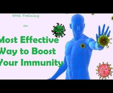 5 Most effective way to Boost ur Immunity against Covid 19 & flu : No need to search more after this