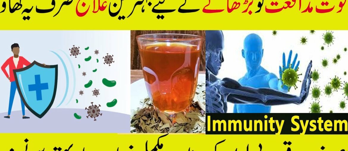 10 FOODS TO BOOST YOUR IMMUNITY - HOW TO BOOST IMMUNITY NATURALLY AT HOME