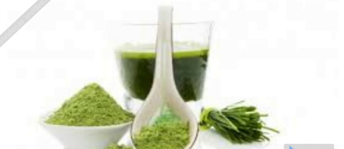 This is the best food in the world that is rich in vitamins, proteins, calcium and boosting immunity