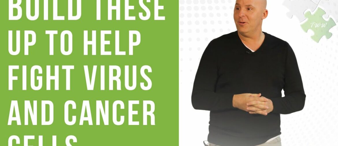 Cancer 2: CD8, The Soldiers of the Immune System