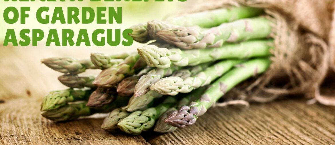 Health Benefits and Nutrition Facts Of Garden Asparagus - Vitamins, Iron, Calcium,  Magnesium.