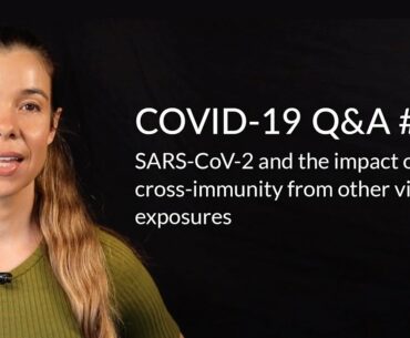 SARS-CoV-2 and the impact of cross-immunity from other viral exposures