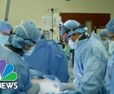 Coronavirus Researchers Report Progress In Race For Vaccine | NBC Nightly News