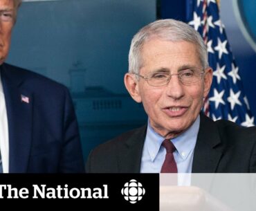 Dr. Anthony Fauci on the U.S.'s handling of the COVID-19 pandemic