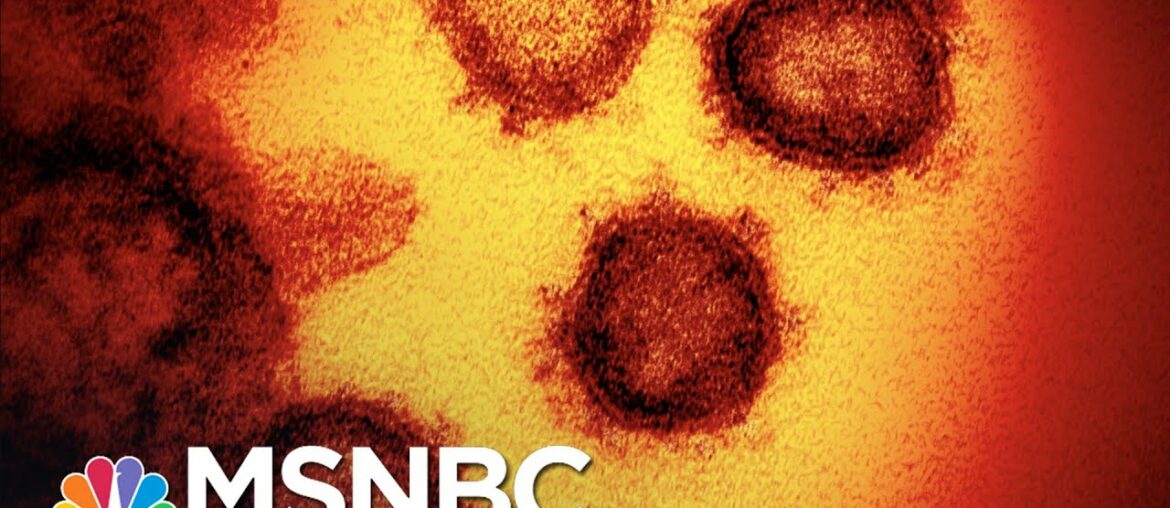 ‘Ridiculous And Dangerous’ To Think The Coronavirus Is Behind Us | The 11th Hour | MSNBC