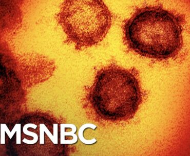 ‘Ridiculous And Dangerous’ To Think The Coronavirus Is Behind Us | The 11th Hour | MSNBC