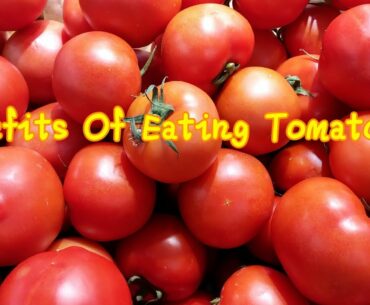 Benefits Of Tomatoes Great Source Of Vitamin C