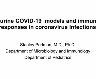 Infectious Disease and Microbiome Program Meeting: Immune Responses in coronavirus infections