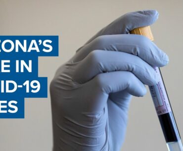 Here's a break down of Arizona's spike in Covid-19 cases since reopening businesses