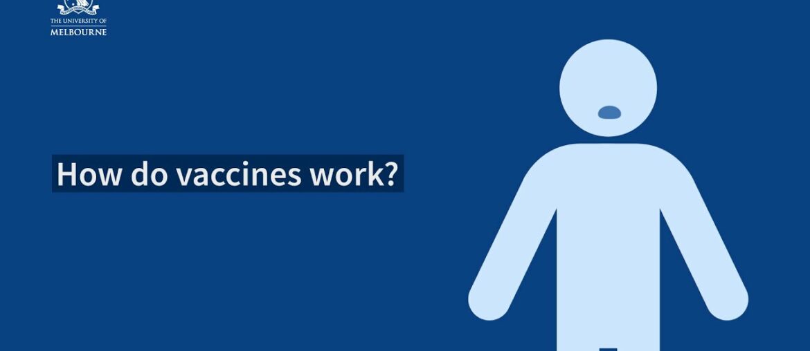 The science behind the search for a COVID-19 vaccine: How do vaccines work?