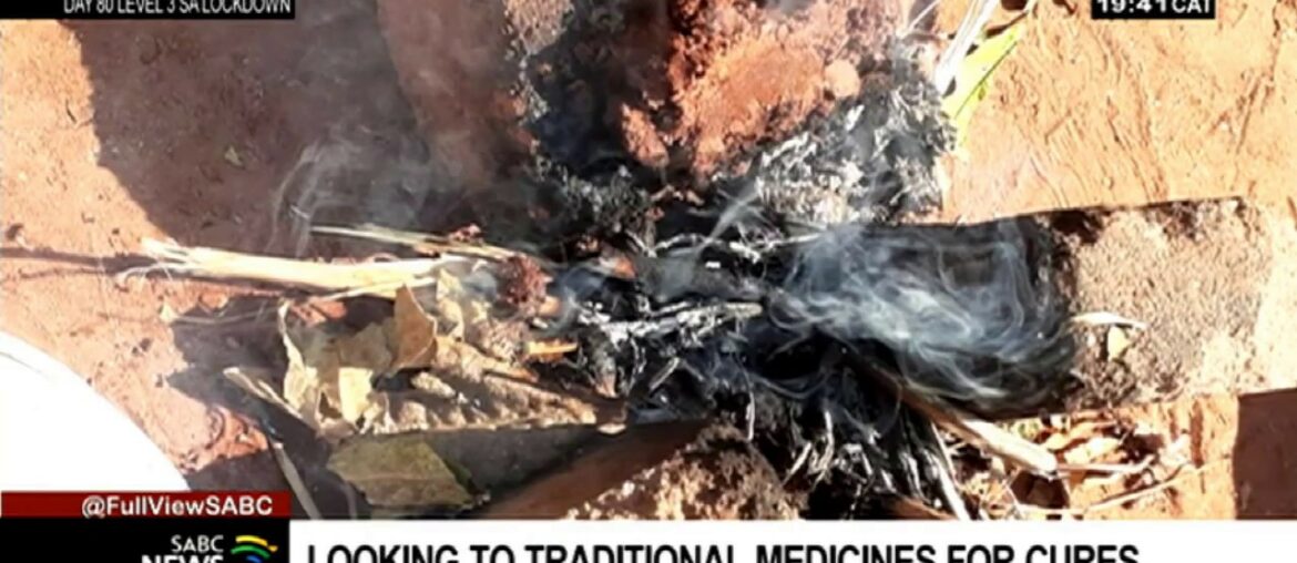 COVID-19 I Khoisan traditional healers looking to help in the fight against coronavirus