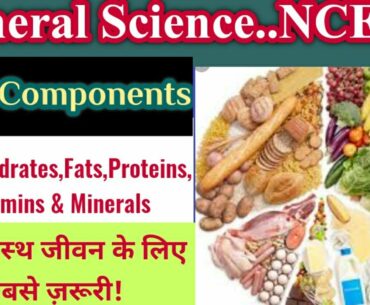Food Components!!Proteins,Vitamins,Fats,Carbohydrates&Minerals!!NCERT Science Notes