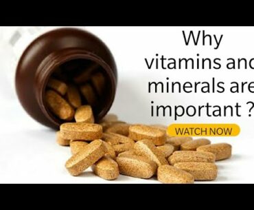 Why vitamins and minerals are important ?
