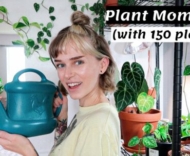 A Day In The Life Of A Plant Mom (with 150+ plants) | Potting, Propagation, & Pest Prevention