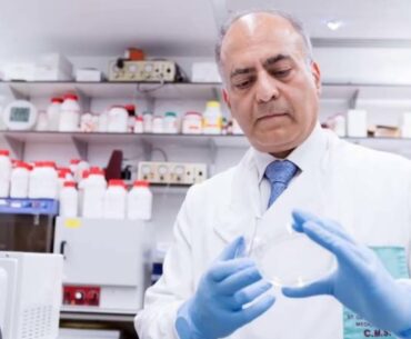 COVID-19 immune response may remain stable for two months after diagnosis