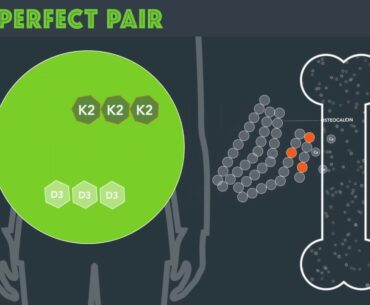The Perfect Pair: Factsheet about Vitamin D and K2