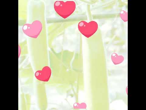 Source of energy and vitamins