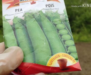 June14 part 1 today my #gym #workout is working in the 50' by 24' #garden