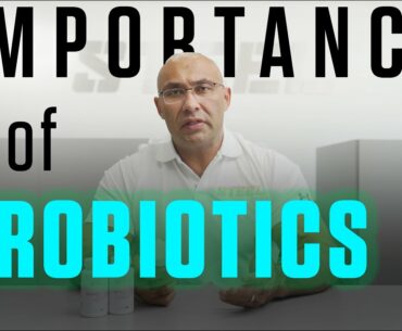 Probiotic Secrets Fixing Digestion