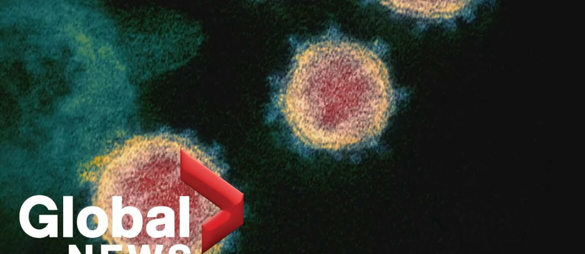 Coronavirus: The unanswered questions around COVID-19