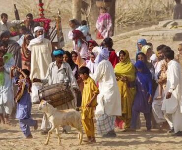 Latest information about covid 19| how to boast immune system |