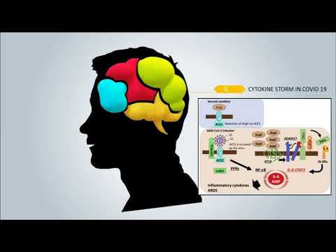 COVID -19 And Cytokine Storm