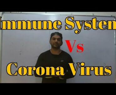 Full Information About Immune System:Link With COVID19