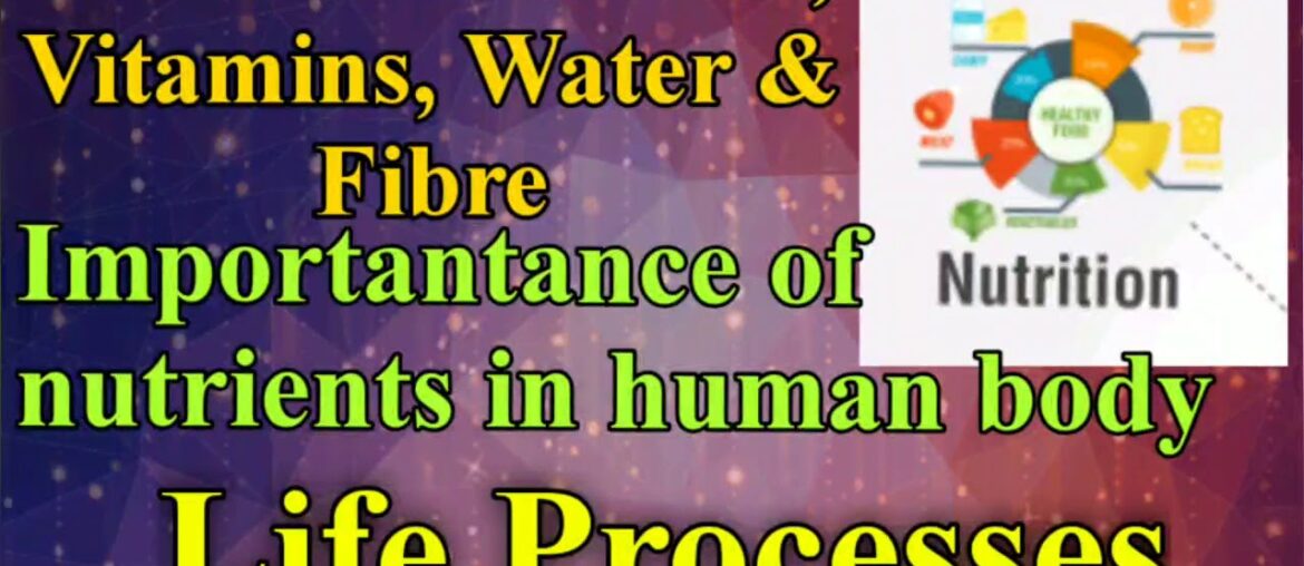 NUTRITION | UTILISATION OF FATS, VITAMINS, WATER & FIBRE