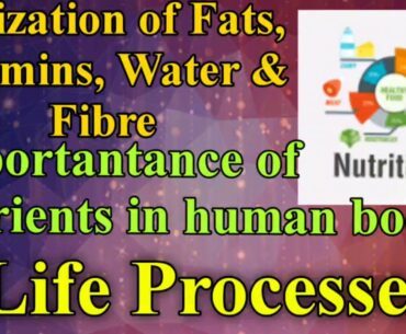 NUTRITION | UTILISATION OF FATS, VITAMINS, WATER & FIBRE