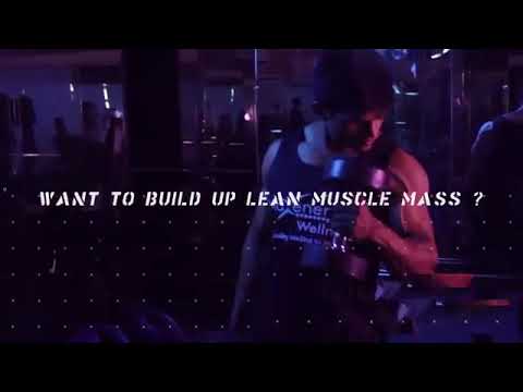 Maxener wellness whey x protein full review