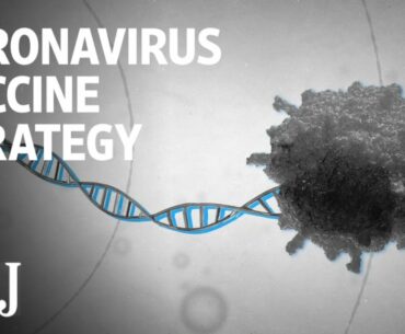 How Scientists Are Trying to Develop a Coronavirus Vaccine | WSJ