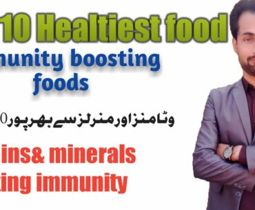 top 10 foods enhance immunity-vitamins & minerals ,carbohydrate ,protein enrich foods-immune booster