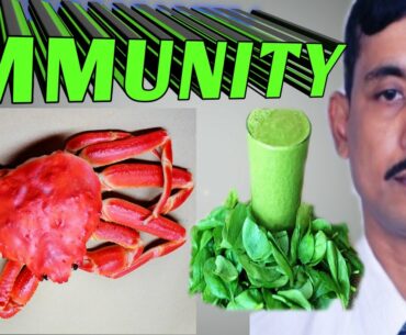 Increase immunity food || 10 foods to boost your immunity - how to boost immunity natural
