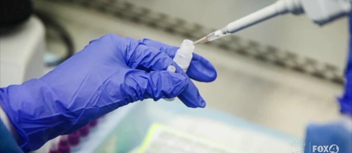 FGCU starting a COVID-19 antibody study