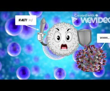 PANDEMIC AROUND THE WORLD  COVID 19- Breakthrough Junior Challenge 2020