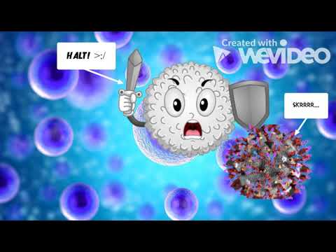 PANDEMIC AROUND THE WORLD  COVID 19- Breakthrough Junior Challenge 2020