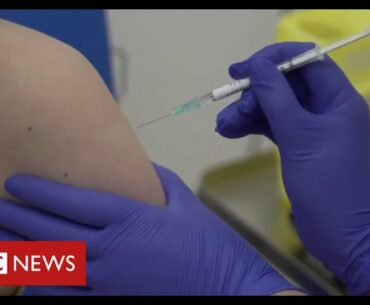 Coronavirus vaccine:  first human trial in Europe begins at Oxford - BBC News