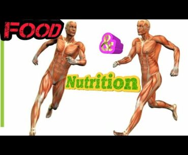 Food & Nutrition. Vitamin protein fat carbohydrate