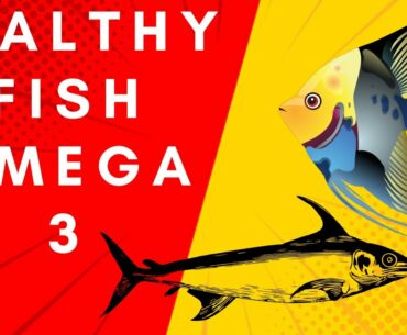 fish benefits for human body/start eating fish now!